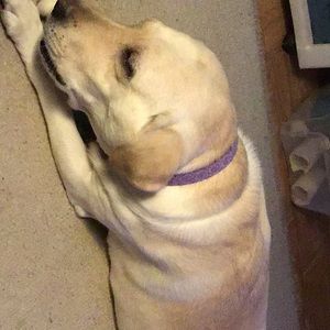 Meet your Posher, Christine